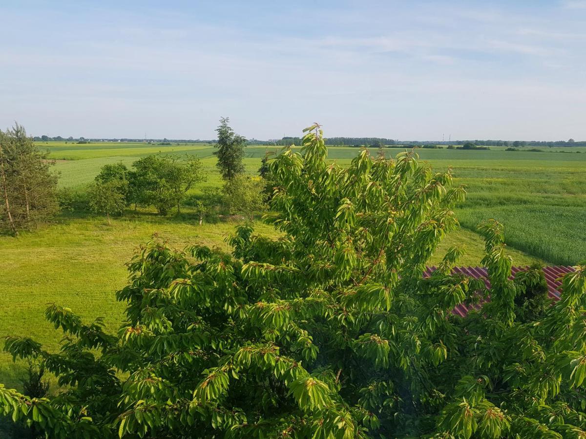 Silence Villa Szydlowice Ngoại thất bức ảnh